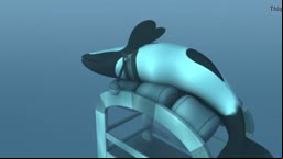 Orca yiff 4